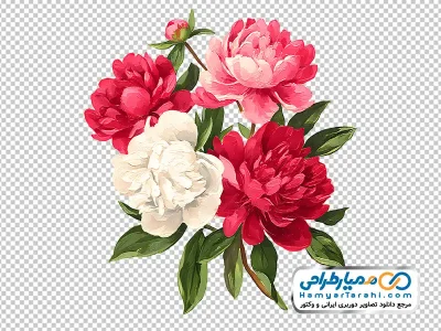 دانلود تصویر وکتوری دسته گل سفید و قرمز آبرنگی