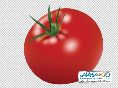 تصویر با کیفیت گوجه فرنگی