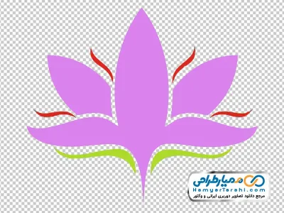 دانلود عکس وکتوری گل زعفران