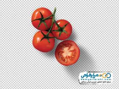 عکس png گوجه فرنگی