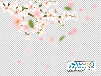 تصویر با کیفیت شاخه گل های بهاری