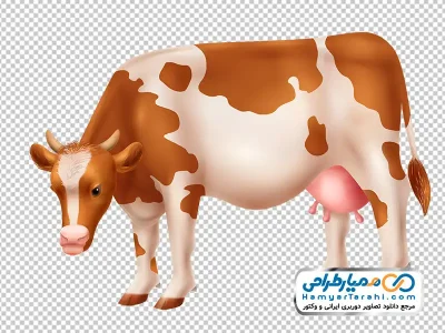 عکس گاو سفید و قهوه ای با فرمت png