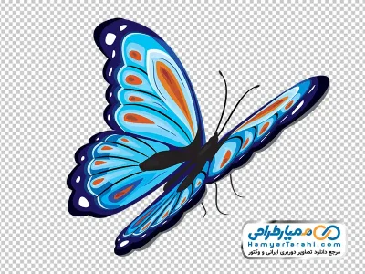 عکس وکتوری پروانه آبی