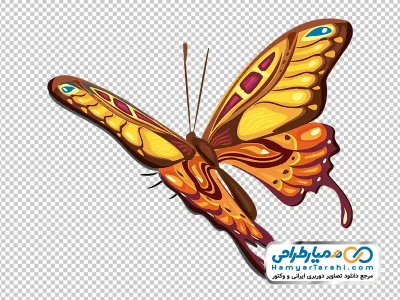 دانلود عکس وکتوری پروانه در حال پرواز