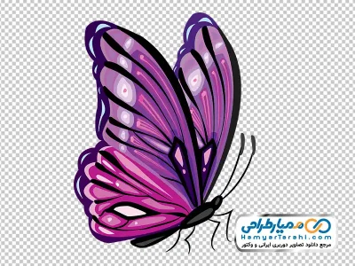 تصویر وکتوری پروانه بنفش با فرمت png