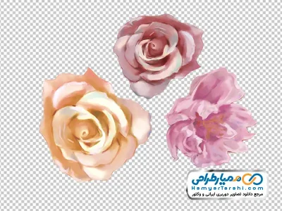 دانلود تصویر png گل رز آبرنگ انتزاعی