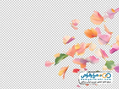 تصویر با کیفیت گلبرگ های پراکنده