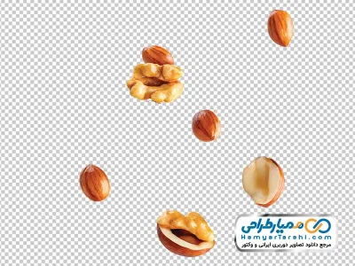 تصویر وکتوری پاشش مغزیجات