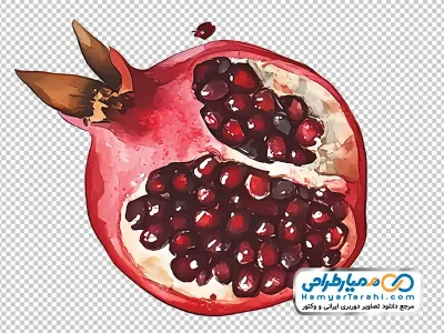 تصویر وکتوری برش انار با فرمت png
