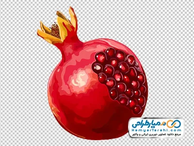 دانلود تصویر وکتوری انار قرمز
