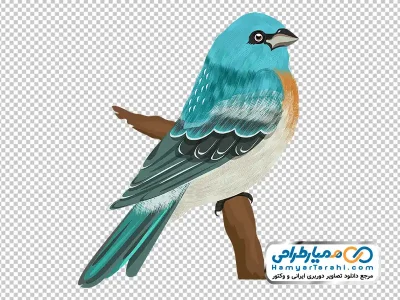 نقاشی پرنده آبی نشسته روی شاخه