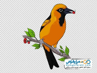 تصویر آبرنگی پرنده اوریول نارنجی نشسته روی شاخه درخت