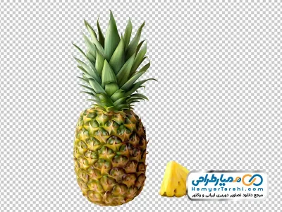 تصویر با کیفیت آناناس با فرمت png