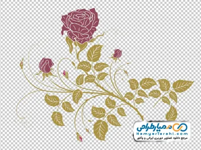 عکس وکتوری گل رز وحشی