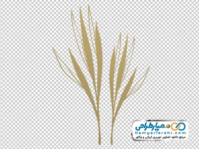 تصویر وکتوری برگ های گرمسیری طلایی با فرمت png