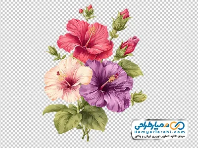 تصویر png دسته گل ختمی آبرنگی