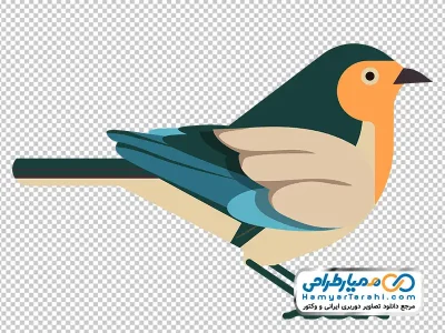 دانلود عکس وکتوری پرنده کوچک