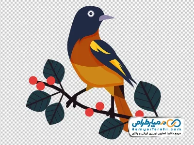 عکس png پرنده نشسته روی شاخه درخت