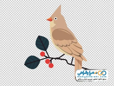 دانلود عکس وکتوری پرنده کاردینال قهوه ای