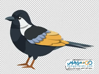 تصویر png کارتونی پرنده مشکی زیبا