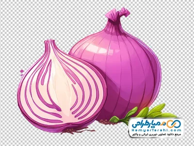 تصویر وکتوری پیاز بنفش با فرمت png
