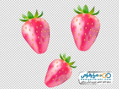 عکس وکتوری توت فرنگی با فرمت png