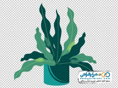 عکس با کیفیت گیاه آپارتمانی