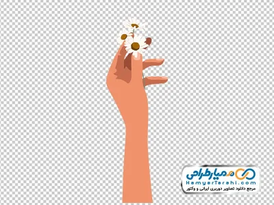 دانلود تصویر وکتوری شاخه گل سفید در دست