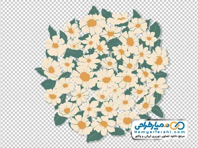 دانلود عکس وکتوری گل های سفید