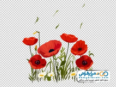 تصویر وکتوری گل خشخاش قرمز