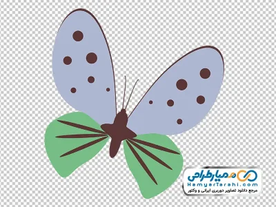 عکس وکتوری پرنده خال خالی با فرمت png