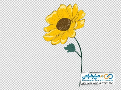 عکس وکتوری گل آفتابگردان با فرمت png