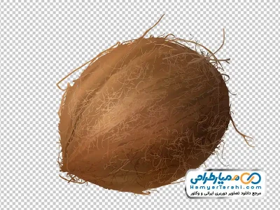 عکس وکتوری نارگیل با فرمت png