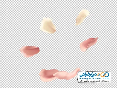 دانلود عکس وکتوری گلبرگ های صورتی