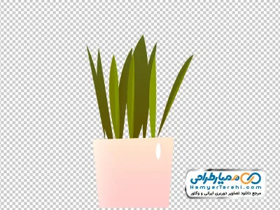 عکس وکتوری گلدان گل سنسوریا