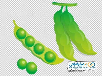 تصویر وکتوری نخود فرنگی با فرمت png