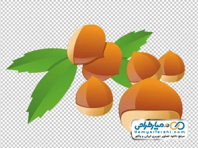 تصویر وکتوری فندق