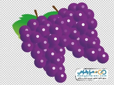 عکس وکتوری خوشه انگور با فرمت png