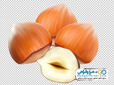 دانلود عکس وکتوری فندق