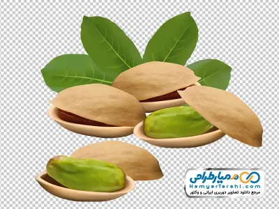 فایل تصویر وکتوری پسته