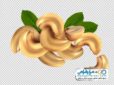 دانلود عکس وکتوری بادام هندی