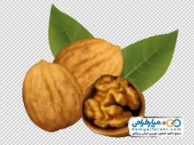 عکس وکتوری گردو با فرمت png