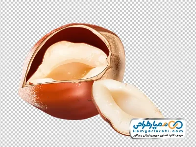دانلود عکس وکتوری فندق شکسته