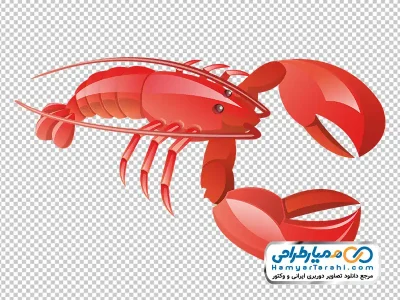 دانلود تصویر وکتوری خرچنگ