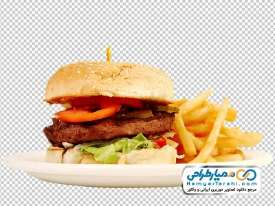 تصویر با کیفیت همبرگر با سیب زمینی سرخ شده