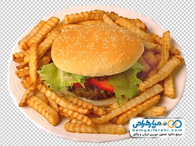 عکس با کیفیت همبرگر با سیب زمینی سرخ شده