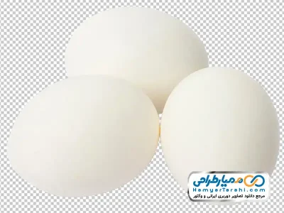 عکس با کیفیت تخم مرغ با فرمت png