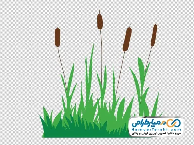 تصویر وکتوری نیزار در چمن با فرمت png