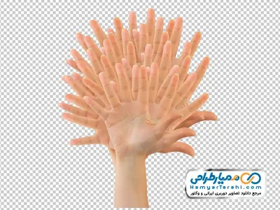 تصویر png دست ها و انگشت ها پشت هم به شکل درخت
