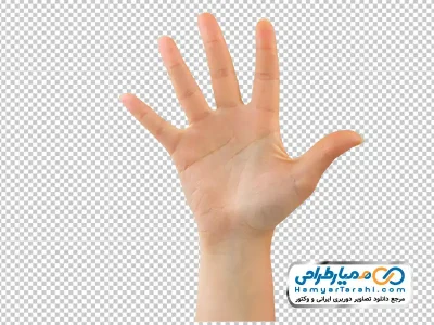 دانلود عکس png دست با انگشتان باز